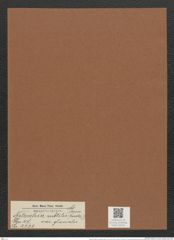 Nitzschia subtilis var. glacialis (Kuetz.?) Grun. (de-Toni-Nr.: Genus 47, Species 2121) Zeichnungen Sammlung Grunow Mappe 02241 (Herbarium_W_Grunow_drawings_Folder_02241)